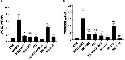 HDAC1-3 inhibition increases SARS-CoV-2 replication and productive infection in lung mesothelial and epithelial cells